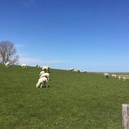 Nettes In Fedderwardersiel Holiday home